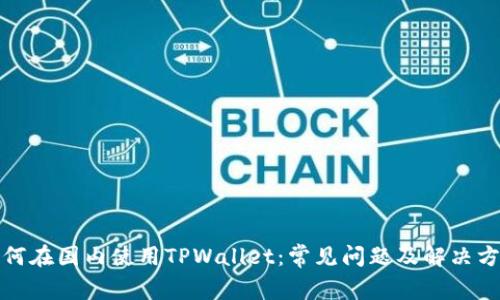 如何在国内使用TPWallet：常见问题及解决方案