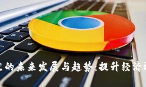 数字货币试点的未来发展与趋势：提升经济效率与安全性