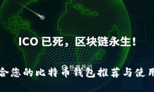 最适合您的比特币钱包推荐与使用指南