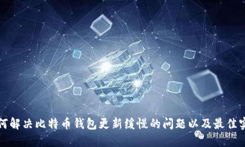 如何解决比特币钱包更新缓慢的问题以及最佳实践