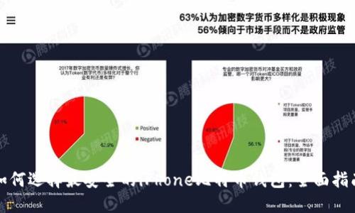 如何选择最安全的iPhone比特币钱包：全面指南