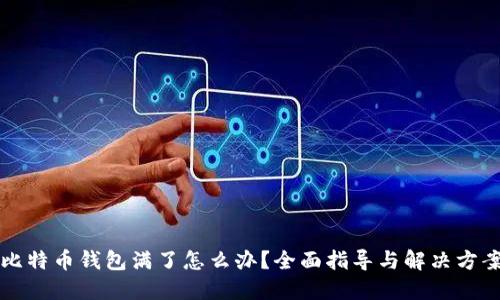 比特币钱包满了怎么办？全面指导与解决方案