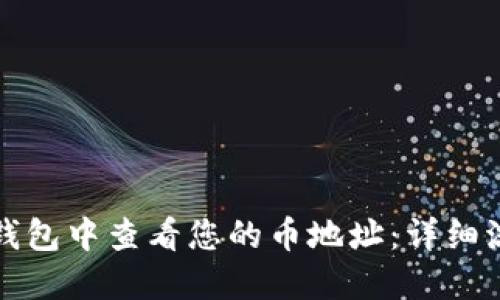 如何在TP钱包中查看您的币地址：详细流程与技巧