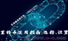 全面解析莱特币使用指南：选择、设置与安全性